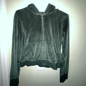 Aerie Velvet Cropped Hoodie